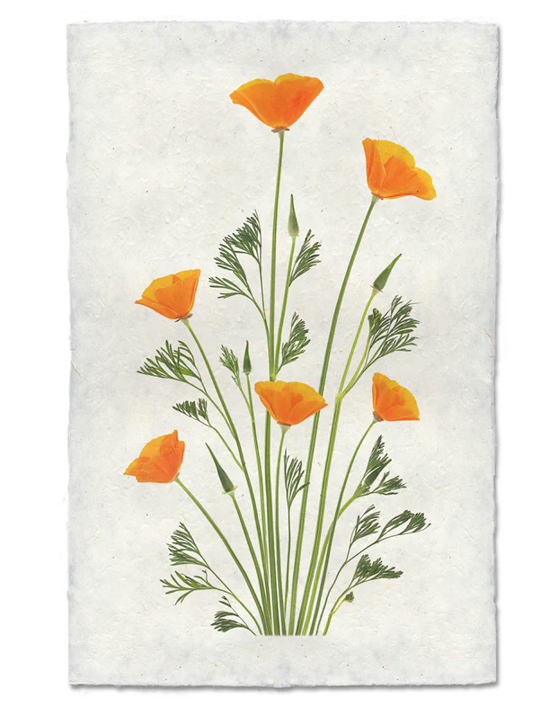 Nepalese Handmade Print - Blooming Poppies #2