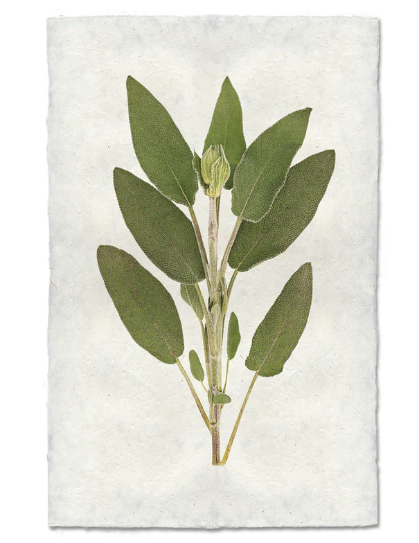 Nepalese Handmade Print - Sage