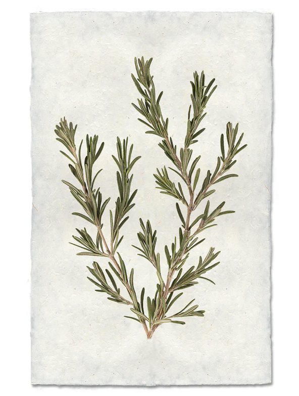 Nepalese Handmade Print - Rosemary