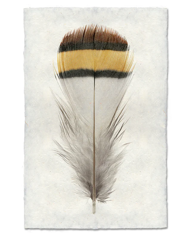 Nepalese Handmade Print - Chukar Partridge