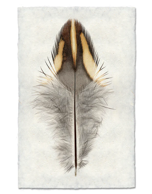 Nepalese Handmade Print - California Quail