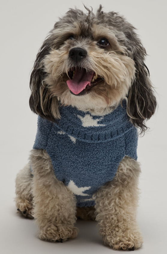 Barefoot Dreams CozyChic Starry Night Pet Sweater