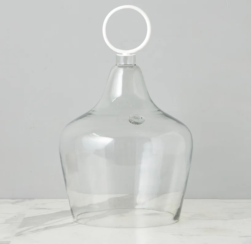 Glass Cloche with White Ring Handle
