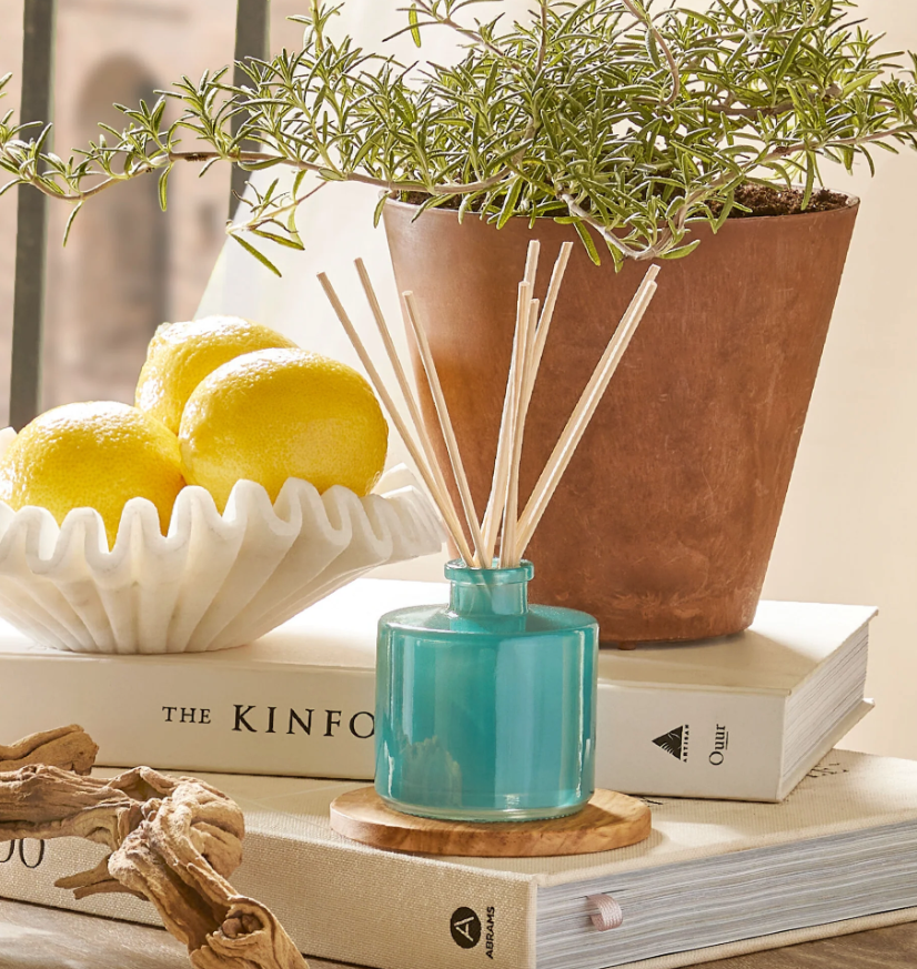 Thymes Cyprus Sea Salt Petite Reed Diffuser