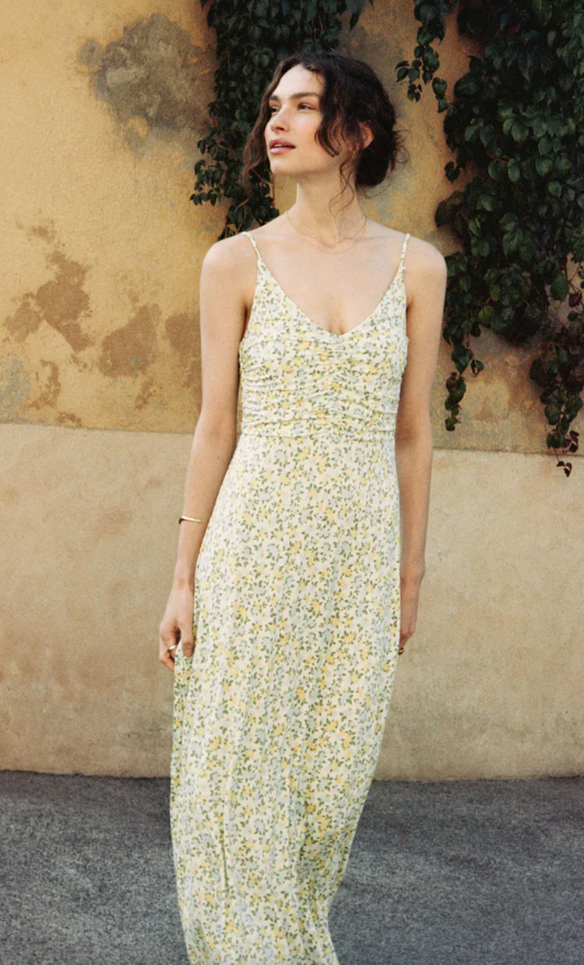 Z Supply Faya Idra Ditsy Maxi Dress