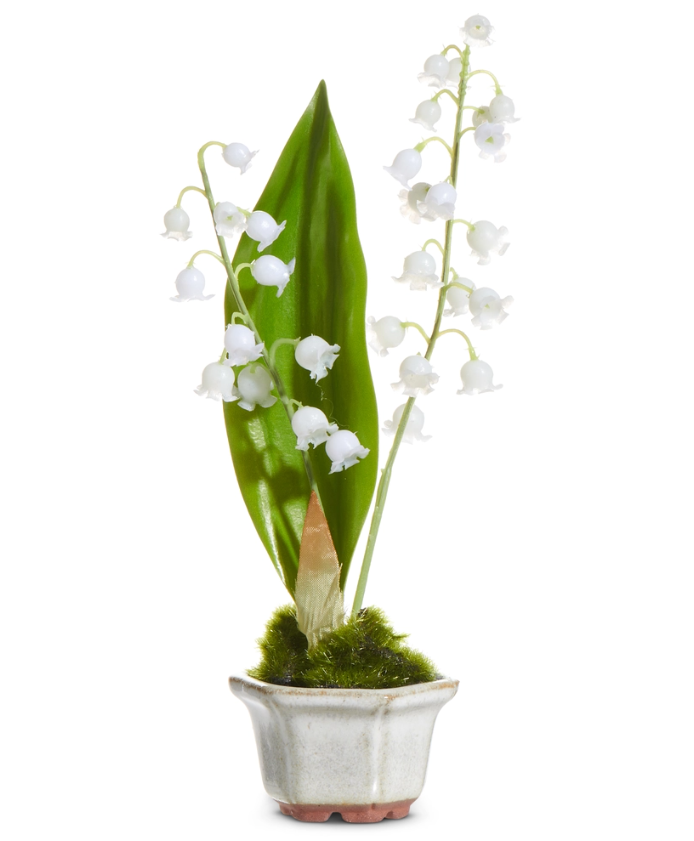 Lily of the Valley in Cachepot