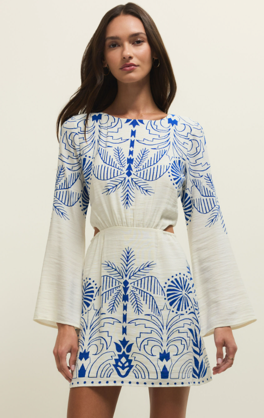 Z Supply Tahina Palm Mini Dress