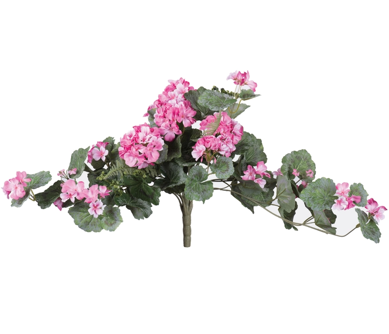 Geranium Pick Arrangement