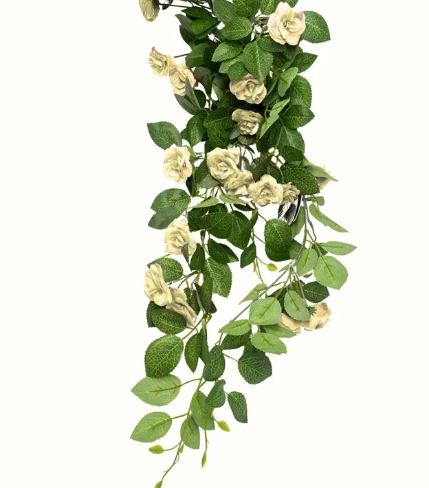 Trailing Mini Rose Vine