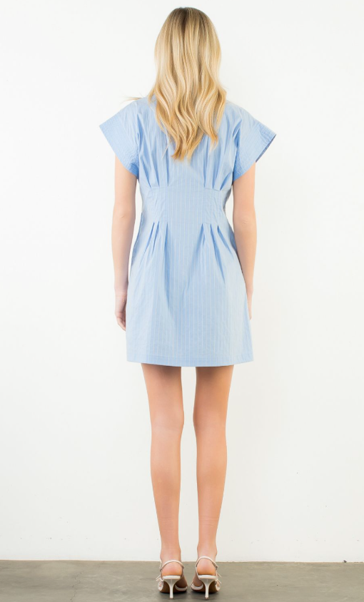 Lillis Striped Button Down Dress