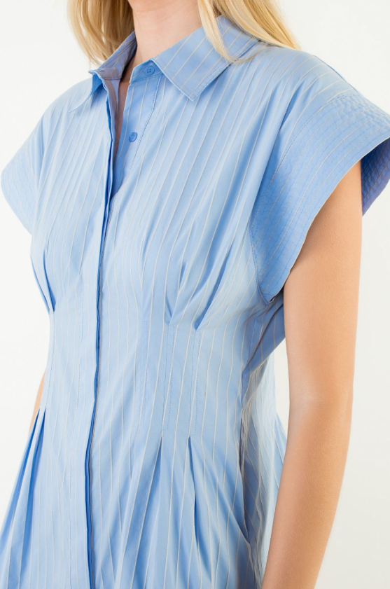 Lillis Striped Button Down Dress