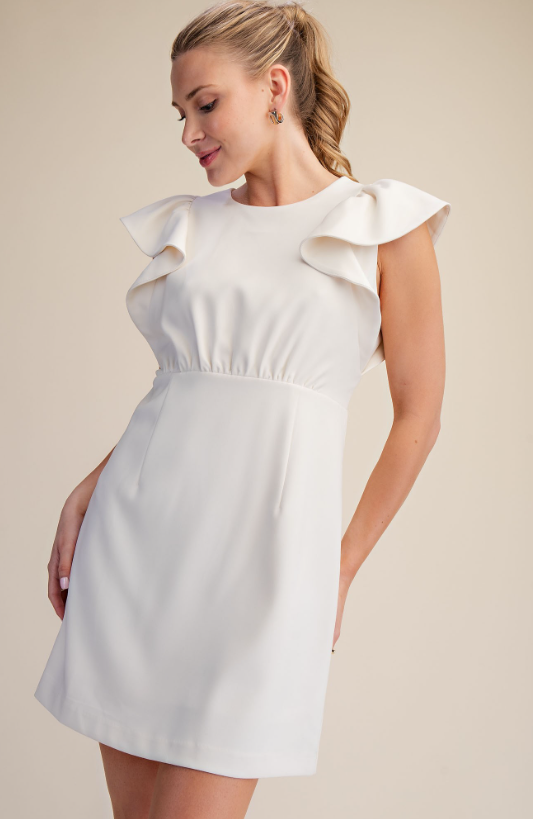 Sol Ruffle Sleeve Mini Dress