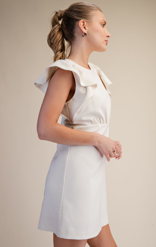 Sol Ruffle Sleeve Mini Dress