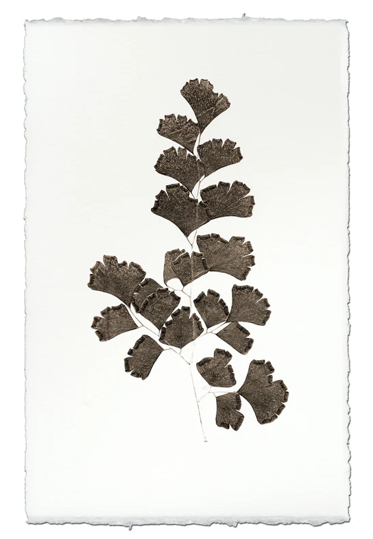 Nepalese Handmade Print - Leaf Study #3