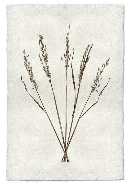 Nepalese Handmade Print - Oat Form