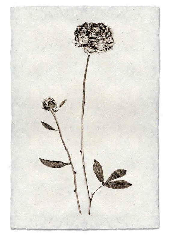 Nepalese Handmade Print - Peony