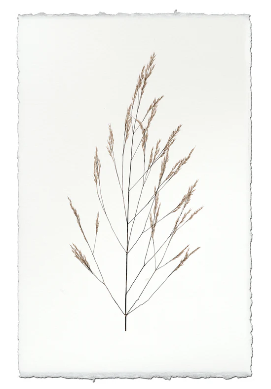 Nepalese Handmade Print - Wheat Form #1