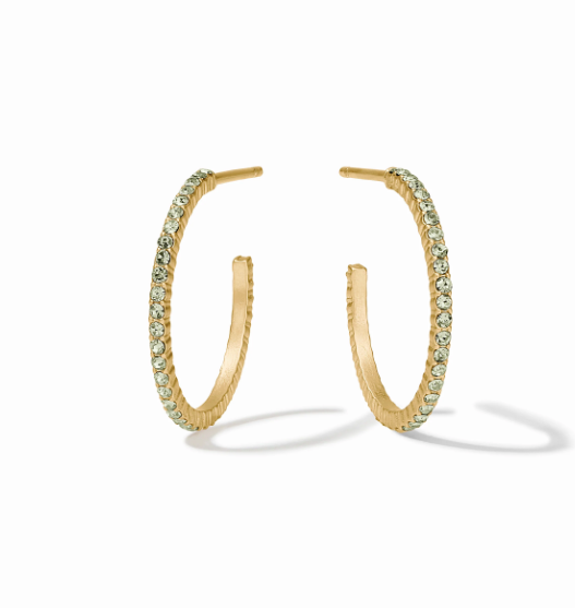 Julie Vos Windsor Hoops