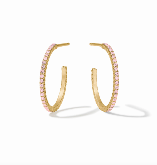 Julie Vos Windsor Hoops