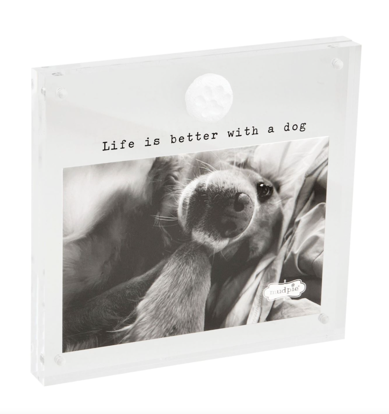 Dog Life Acrylic Frame