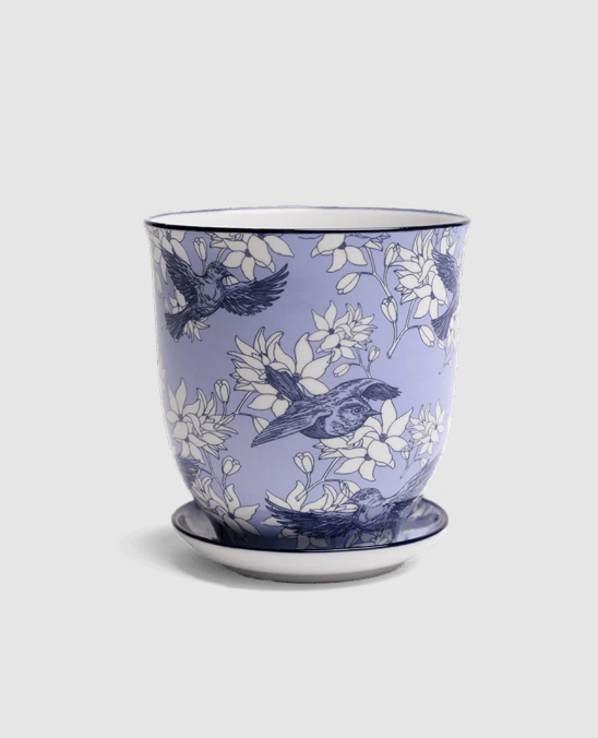Liberte Porcelain Pot And Saucer Set