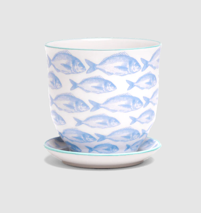 Liberte Porcelain Pot And Saucer Set