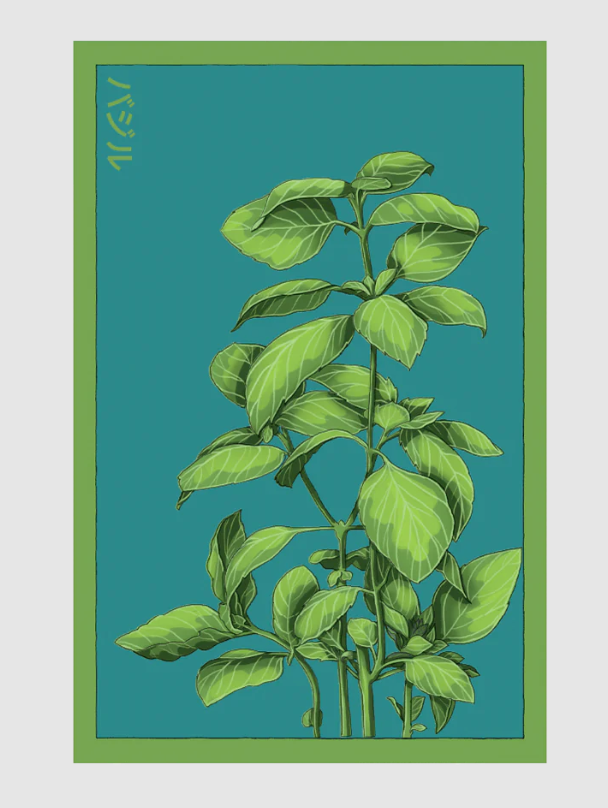 Shido Co Seed Packet