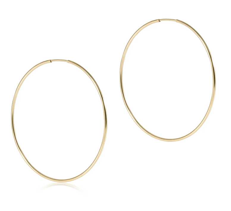 E Newton Endless Hoop
