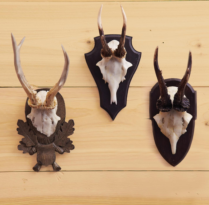 Set of 3 Trophy Wall Deer Mounts