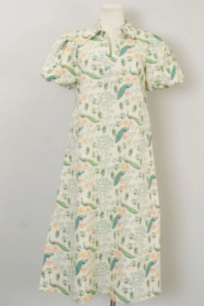 Penny Peacock Maxi Dress