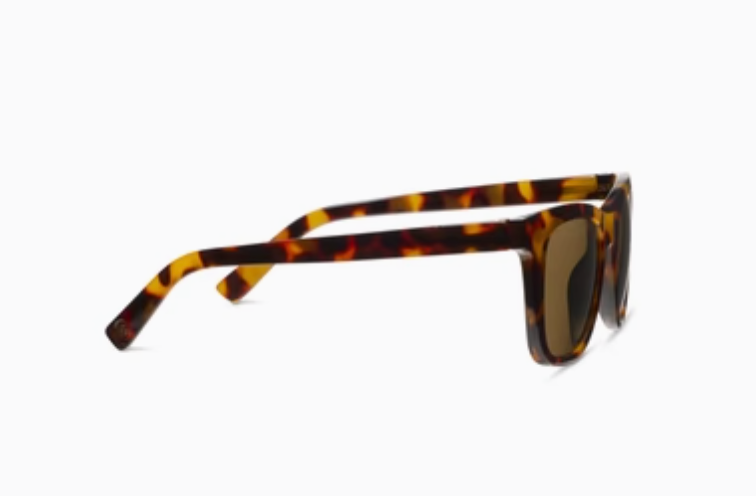 Peeper's Harbor Polarized (Bifocal) Sunglasses
