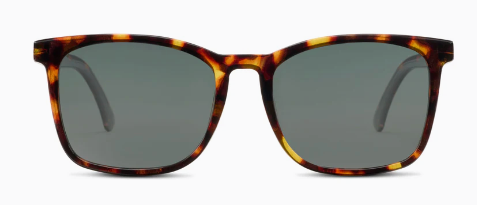 Peeper's Mateo Polarized (Bifocal) Sunglasses