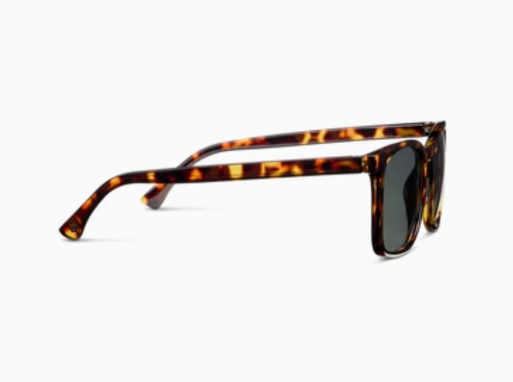 Peeper's Mateo Polarized (Bifocal) Sunglasses