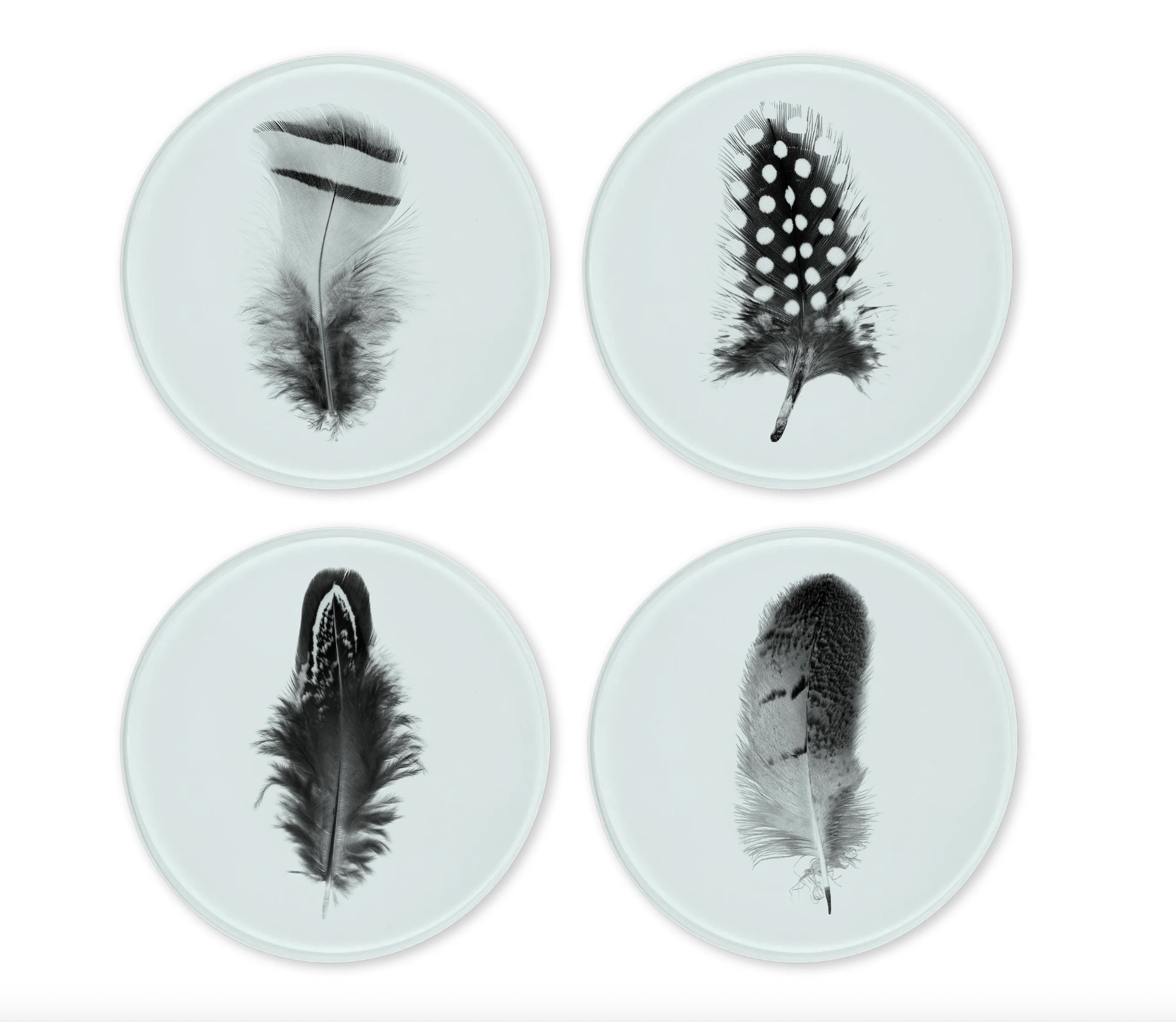 Glass Coasters - Feather (Set of 4)
