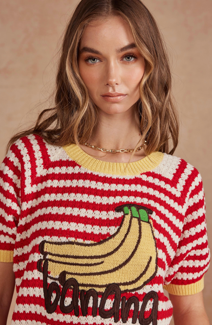 Monkey Business Sweater Top