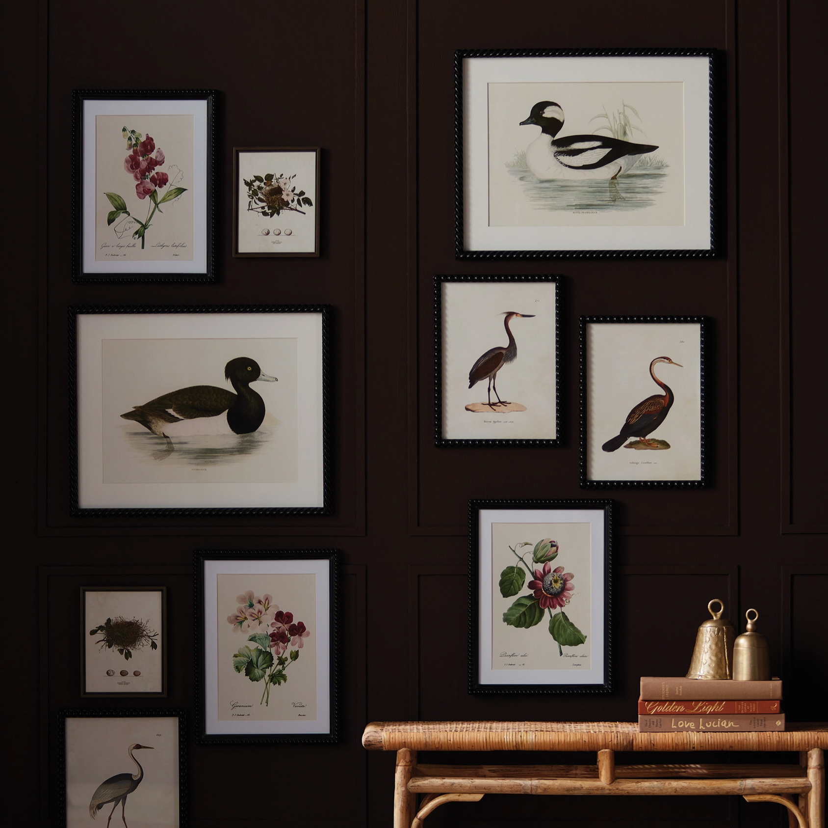 Wading Duck Prints