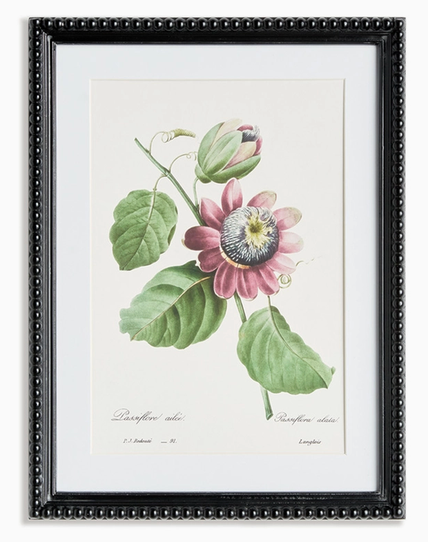 Blush Blooms Study