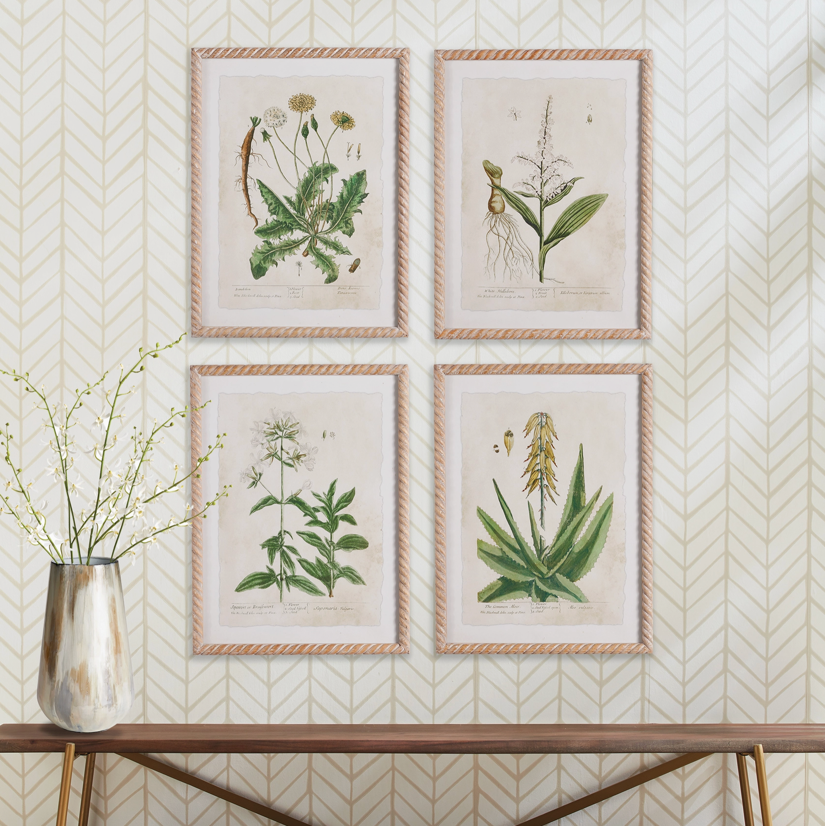 Vintage Botanical Study