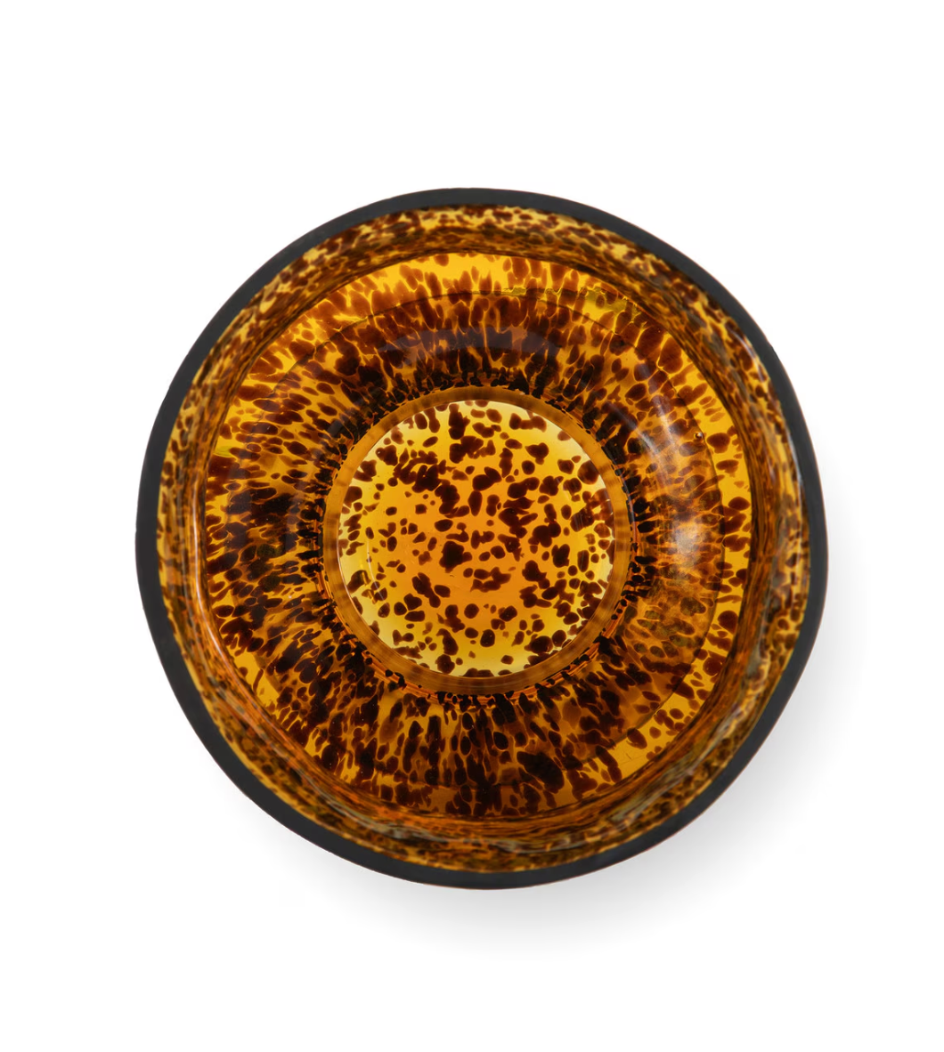 Tortuga Tortoise Vase