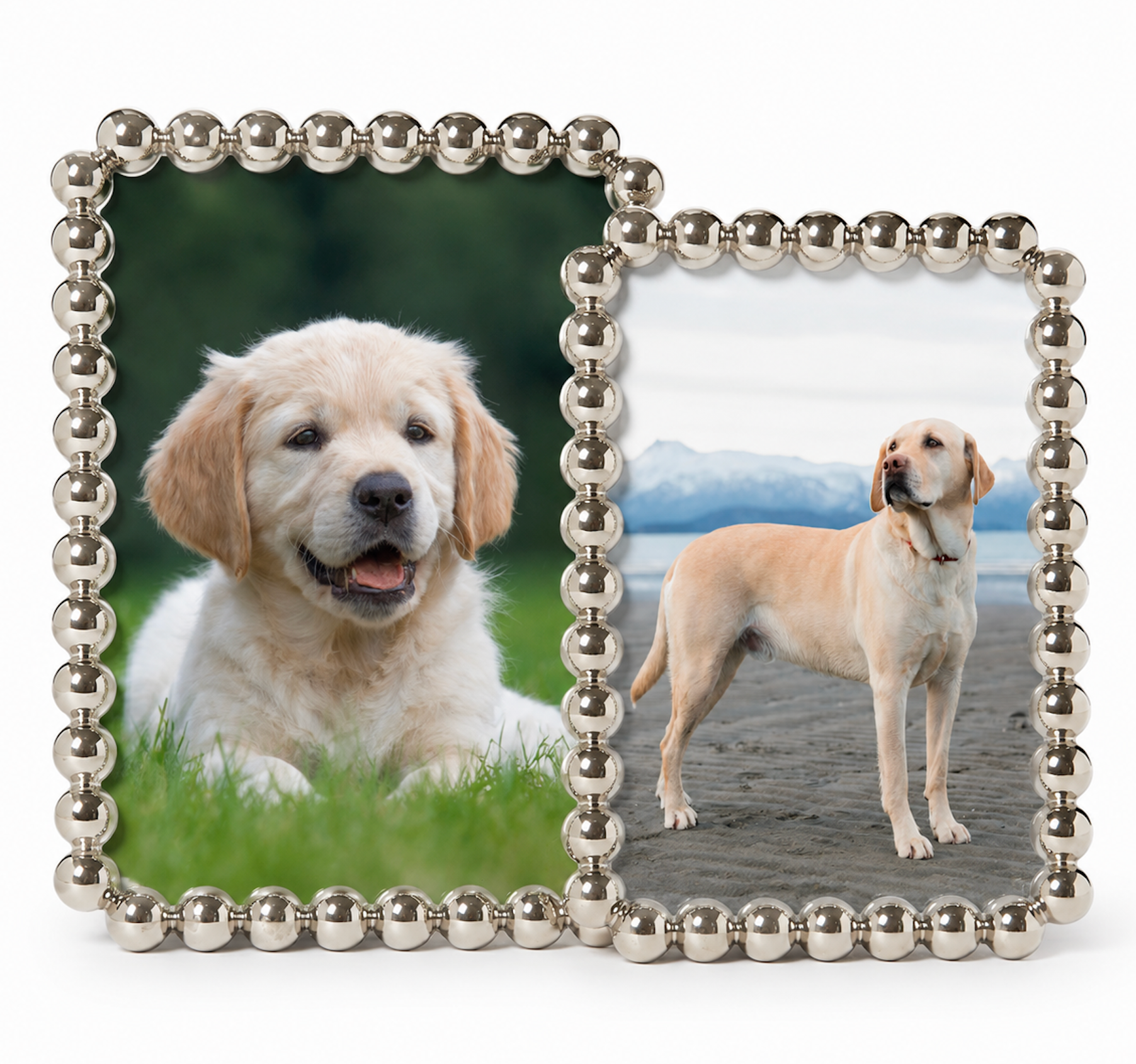 Silver Dot Frame