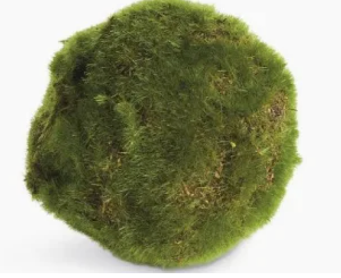 Moss Decorative Balls
