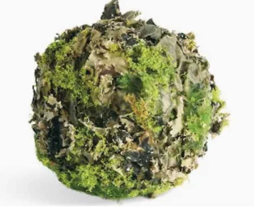 Moss Decorative Balls