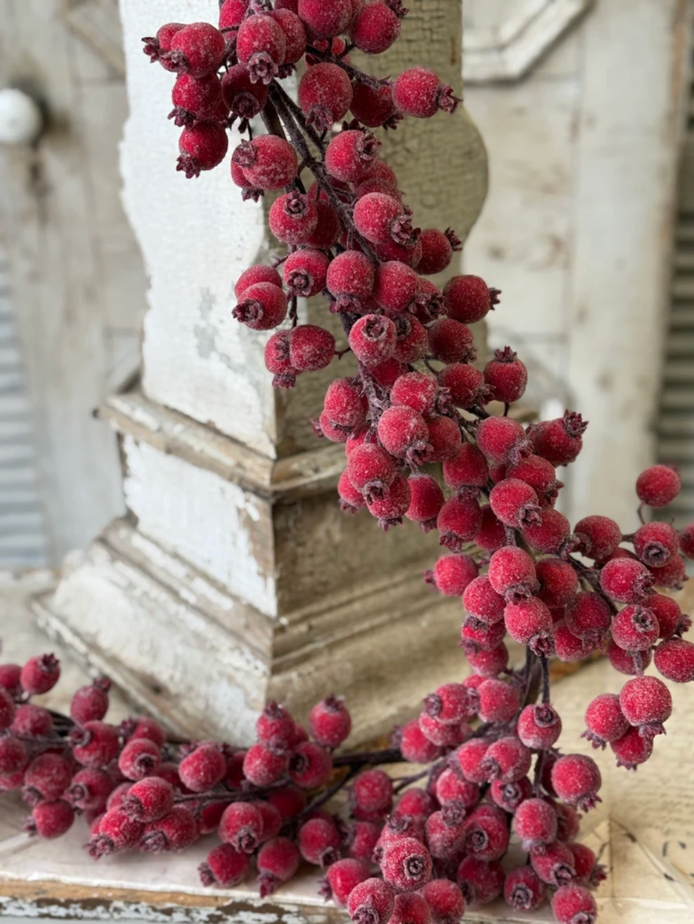 Iced Everberry Garland