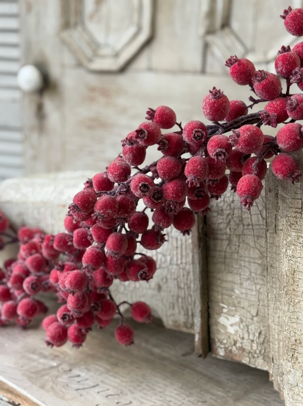 Iced Everberry Garland