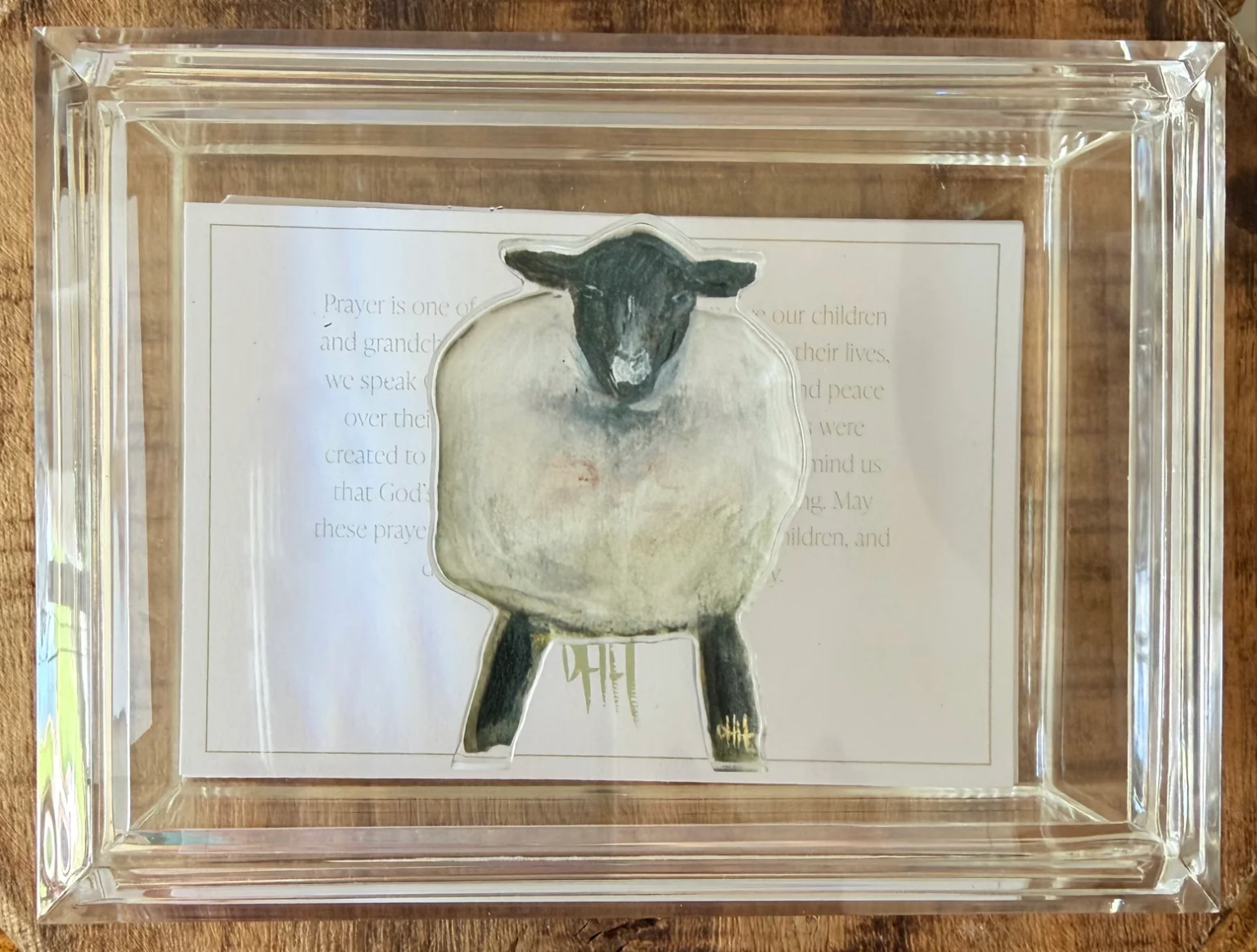 Debra Hewitt Children's Scripture Box - Sheep