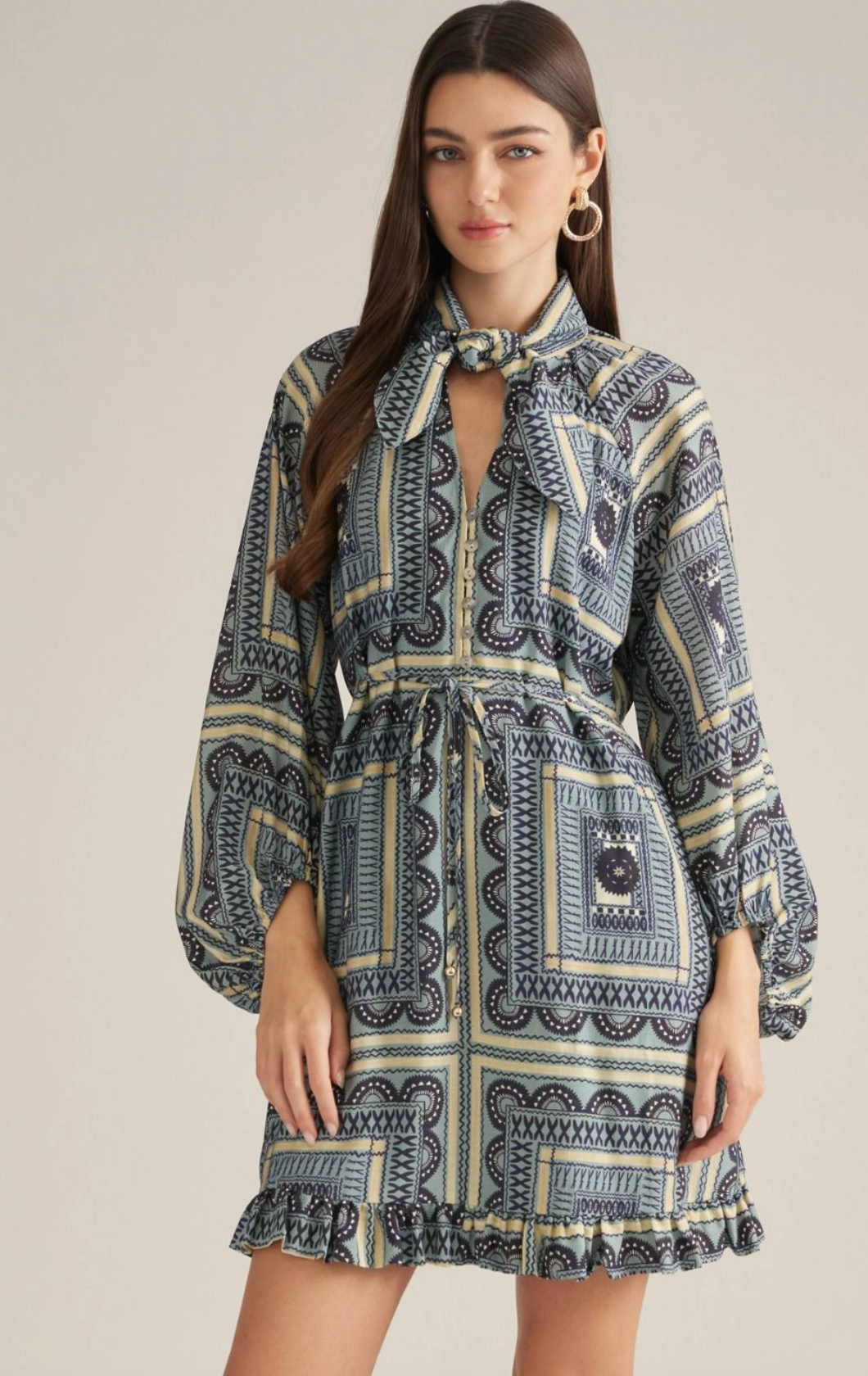 Roam Free Mini Dress