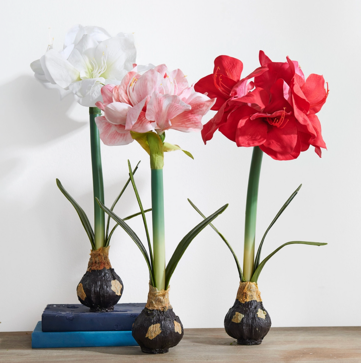 19" Real Touch Red Amaryllis Bulb