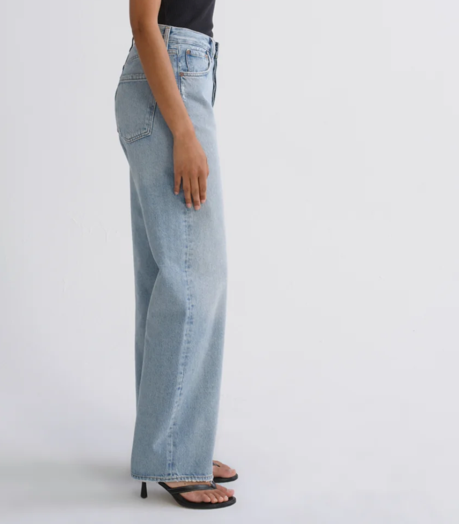 Agolde Denim Ren Jeans - Orten