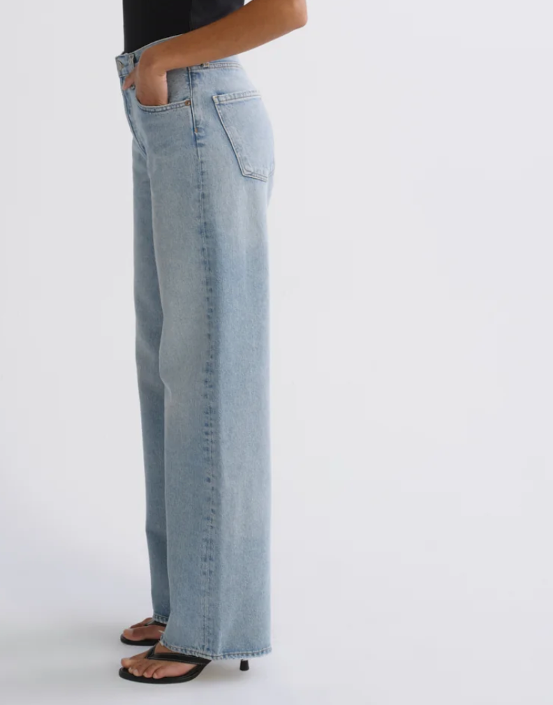 Agolde Denim Ren Jeans - Orten