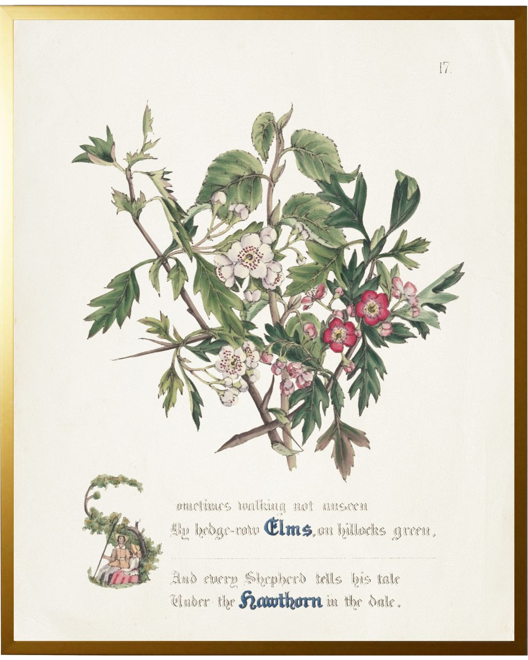 Vintage Floral Bookplate Framed Print